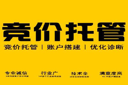 电商成功案例：竞价推广助力品牌崛起